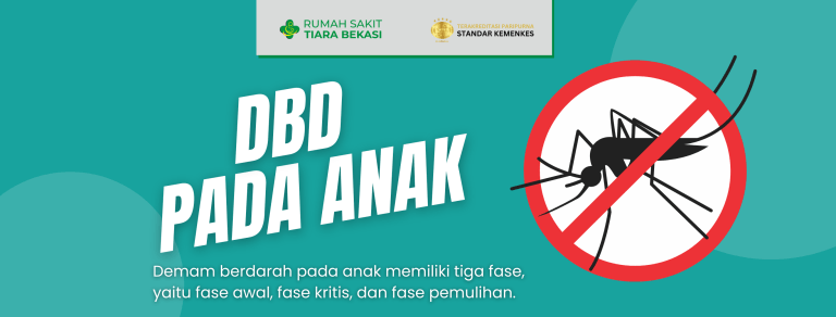 Pencegahan DBD Pada Anak – RS Tiara Bekasi